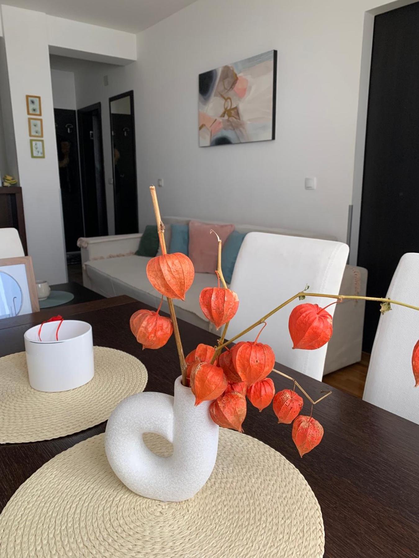 Beli Apartman U Zlatiborskim Konacima Bele Vode Bb Luaran gambar